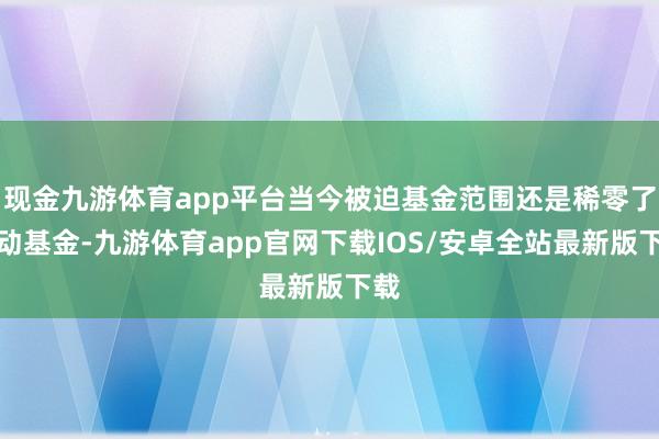 现金九游体育app平台当今被迫基金范围还是稀零了主动基金-九游体育app官网下载IOS/安卓全站最新版下载